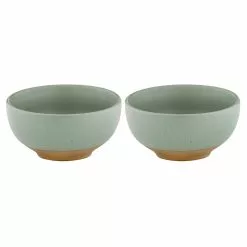 Ladelle Terra Set Of 2 Nibble Bowls Sage